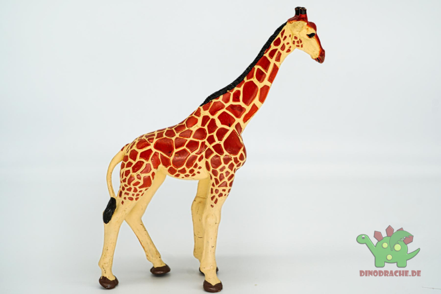 Papo Wild Life Tiere im Set   50215 + 50157 + 50096